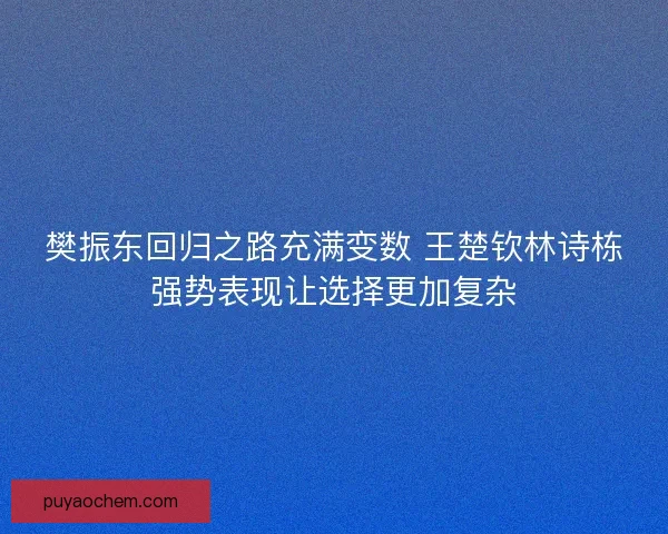 樊振东回归之路充满变数 王楚钦林诗栋强势表现让选择更加复杂